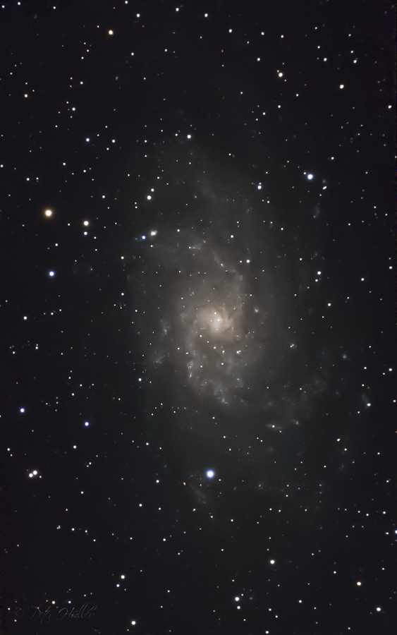 M 33 Spiralgalaxie