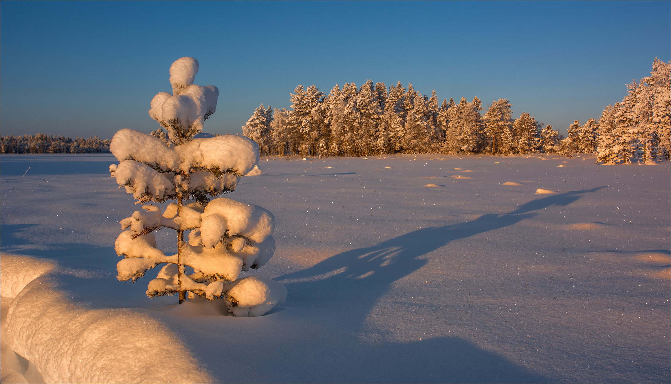 Mittags in Lappland