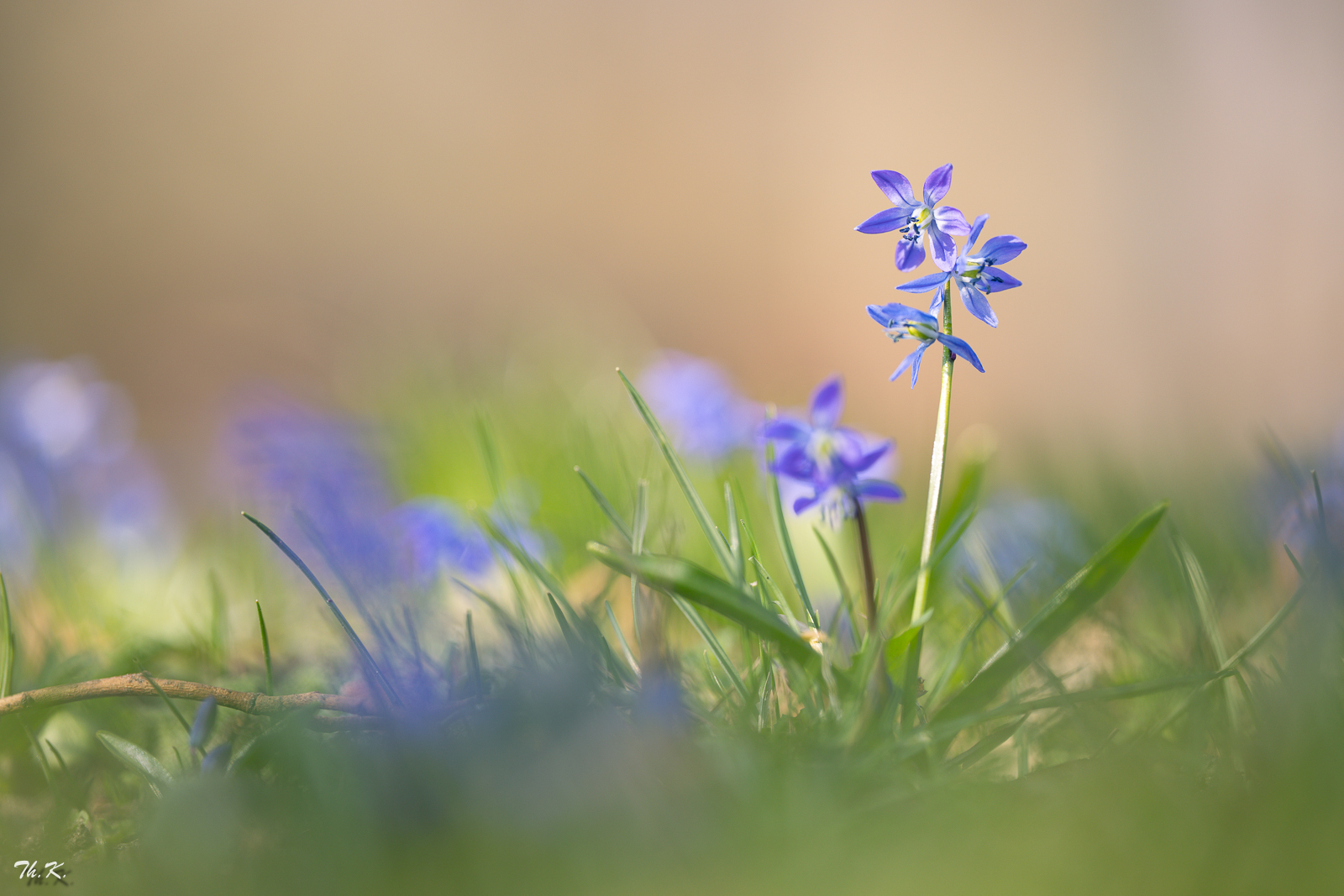 Frühling ....