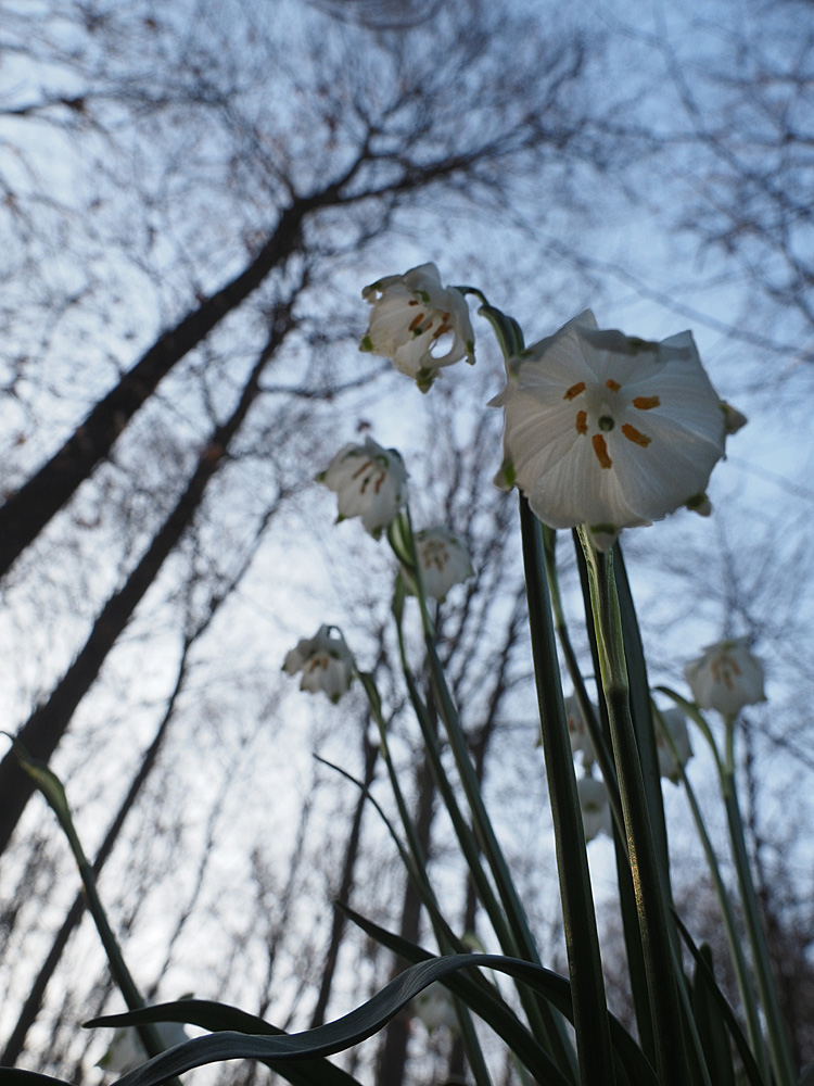 Endspurt