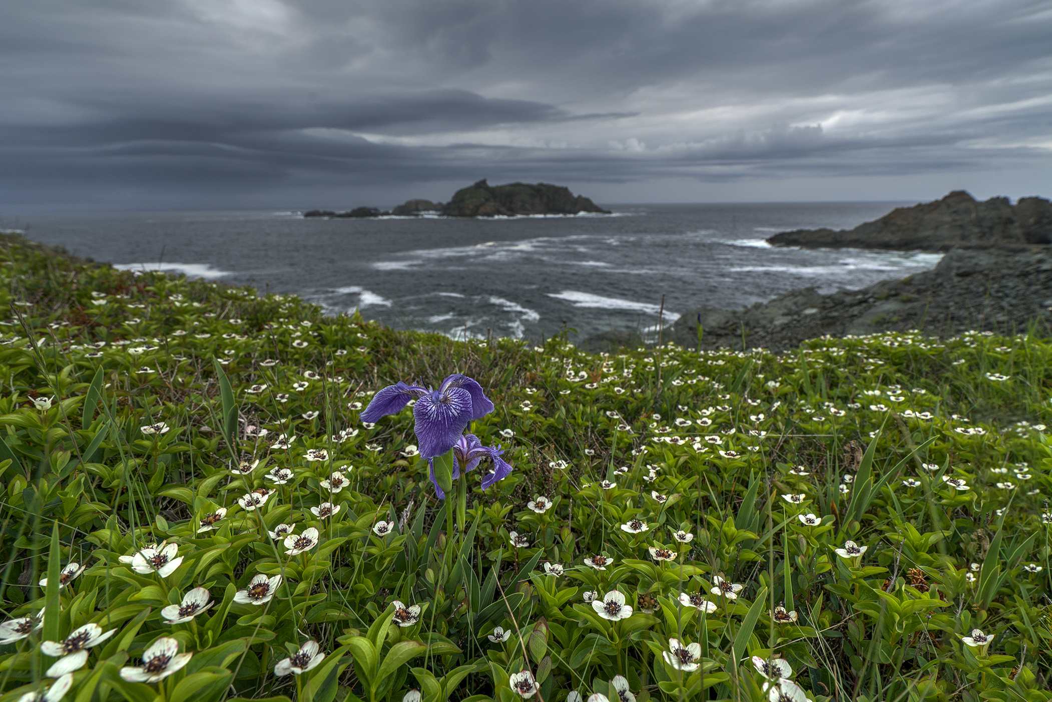 Twillingate, Neufundland
