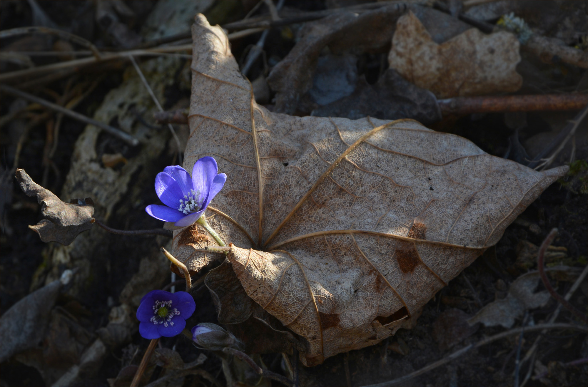 Herbst trifft Frühling
