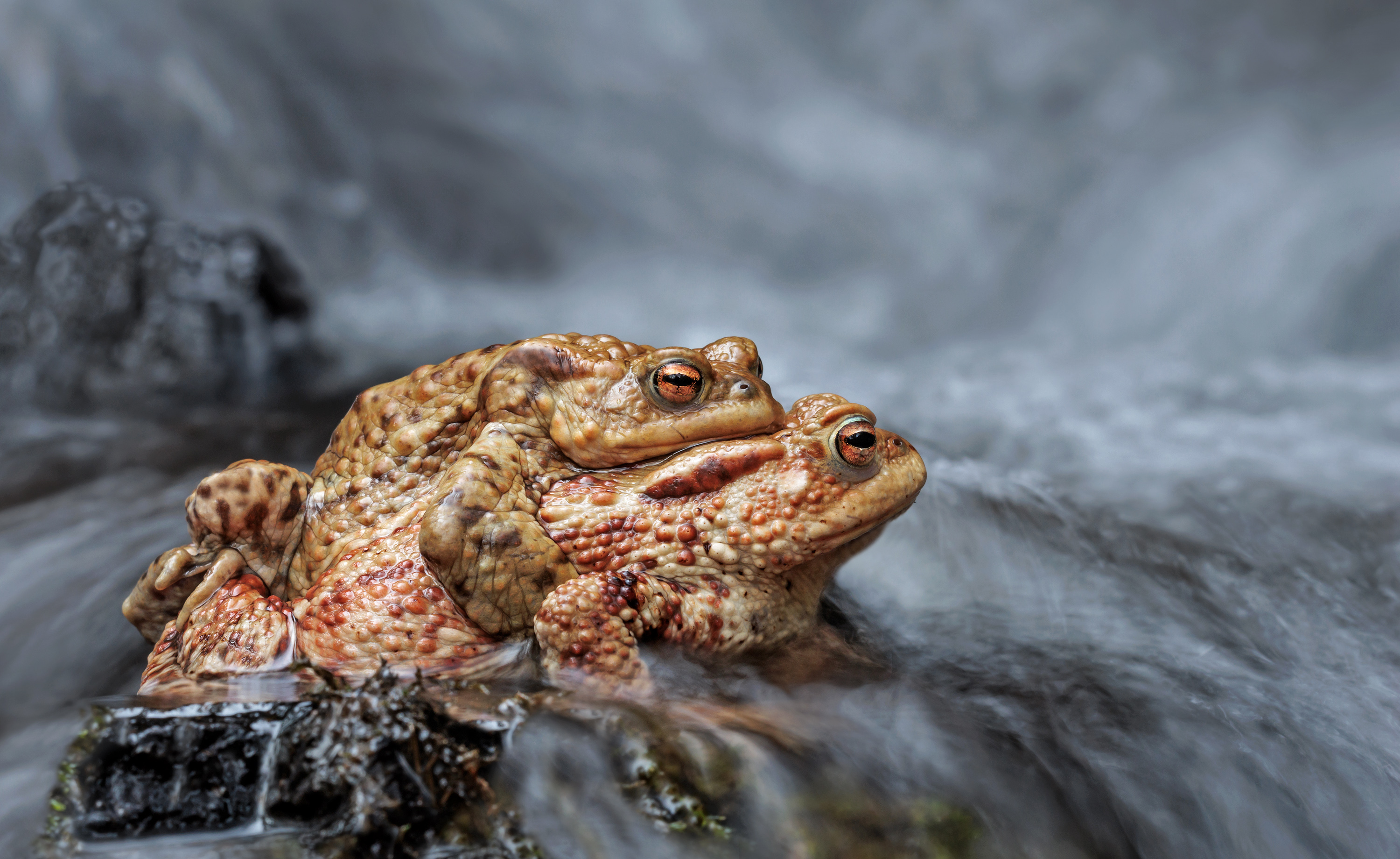 Mach kein Scheiß...Berta