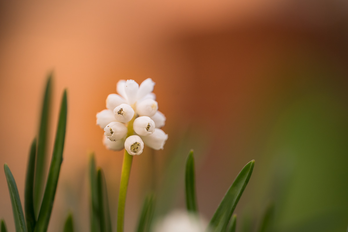 Frühling