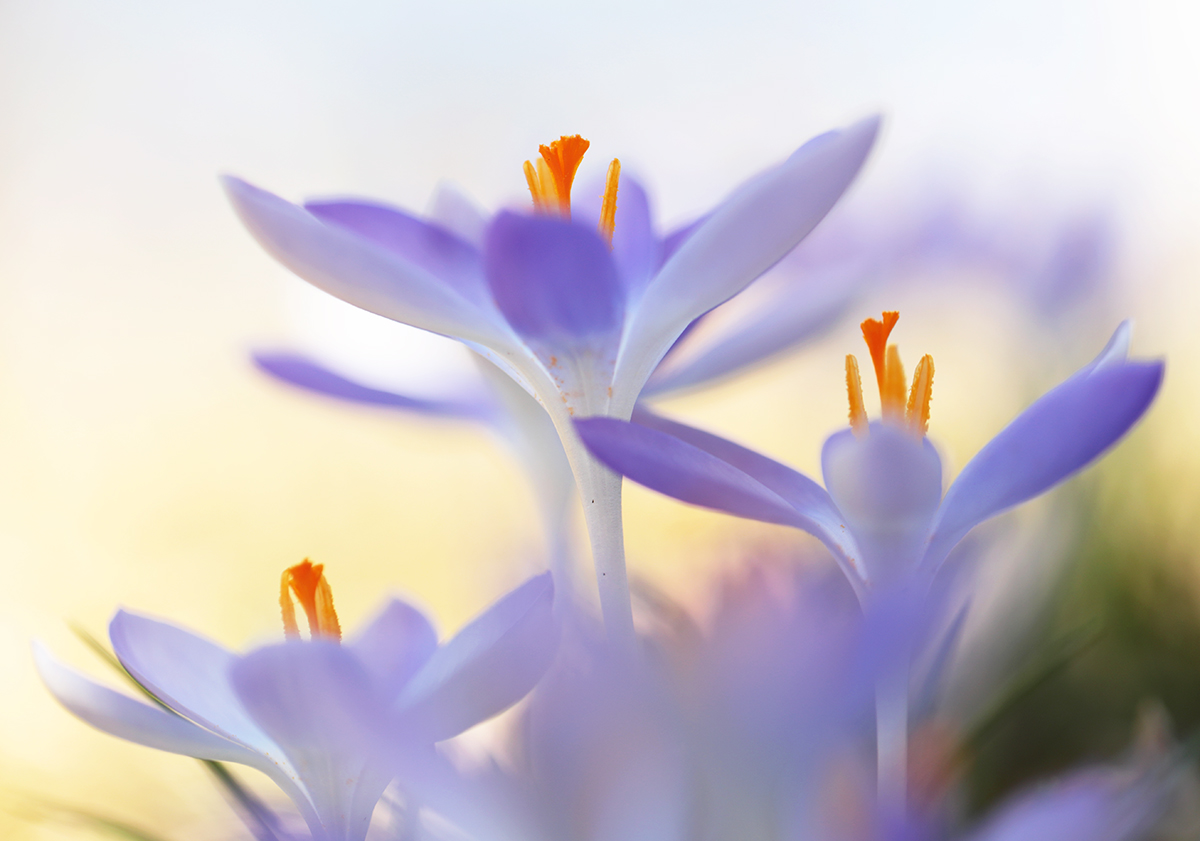 Frohe Ostern!