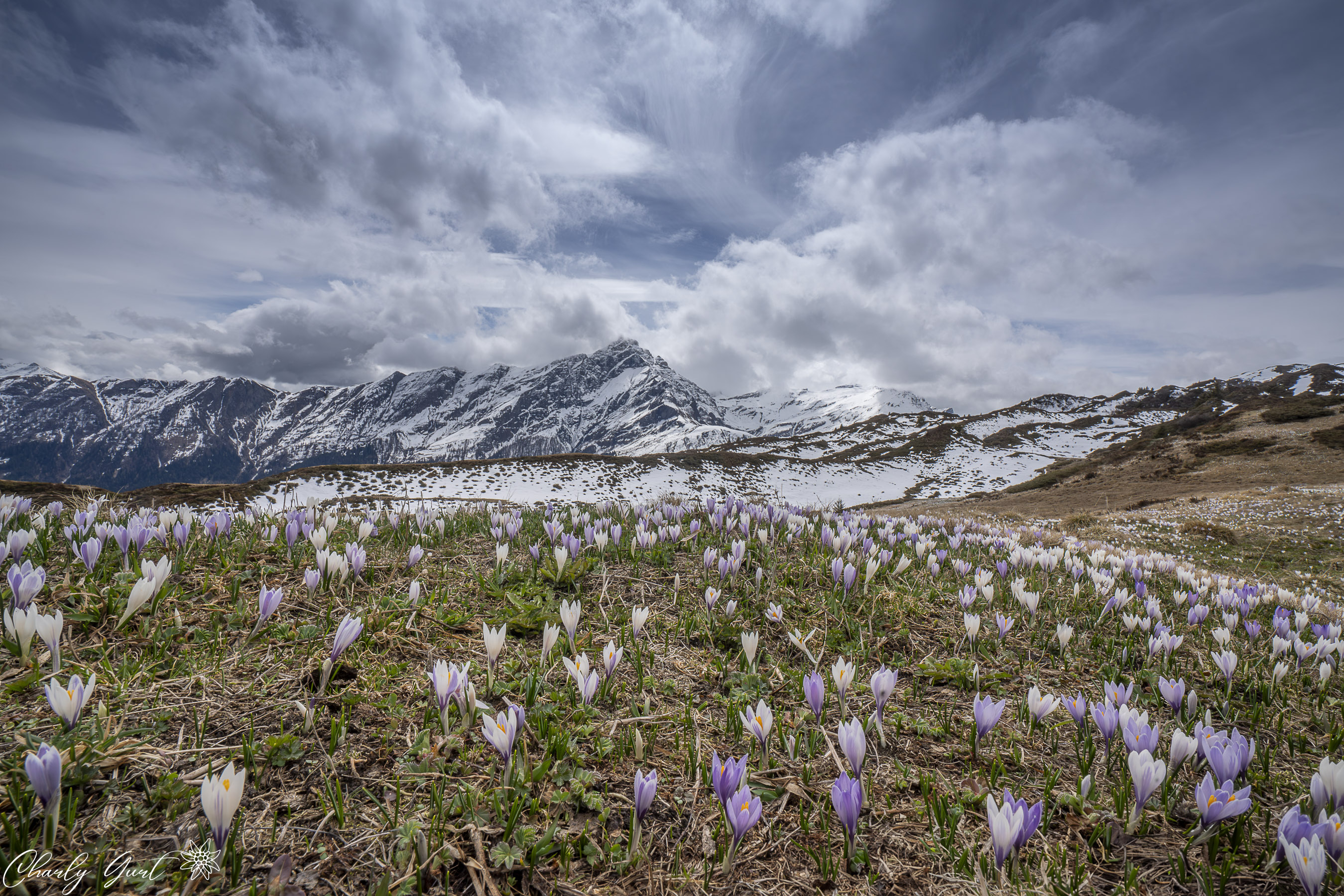 Bergfrühling