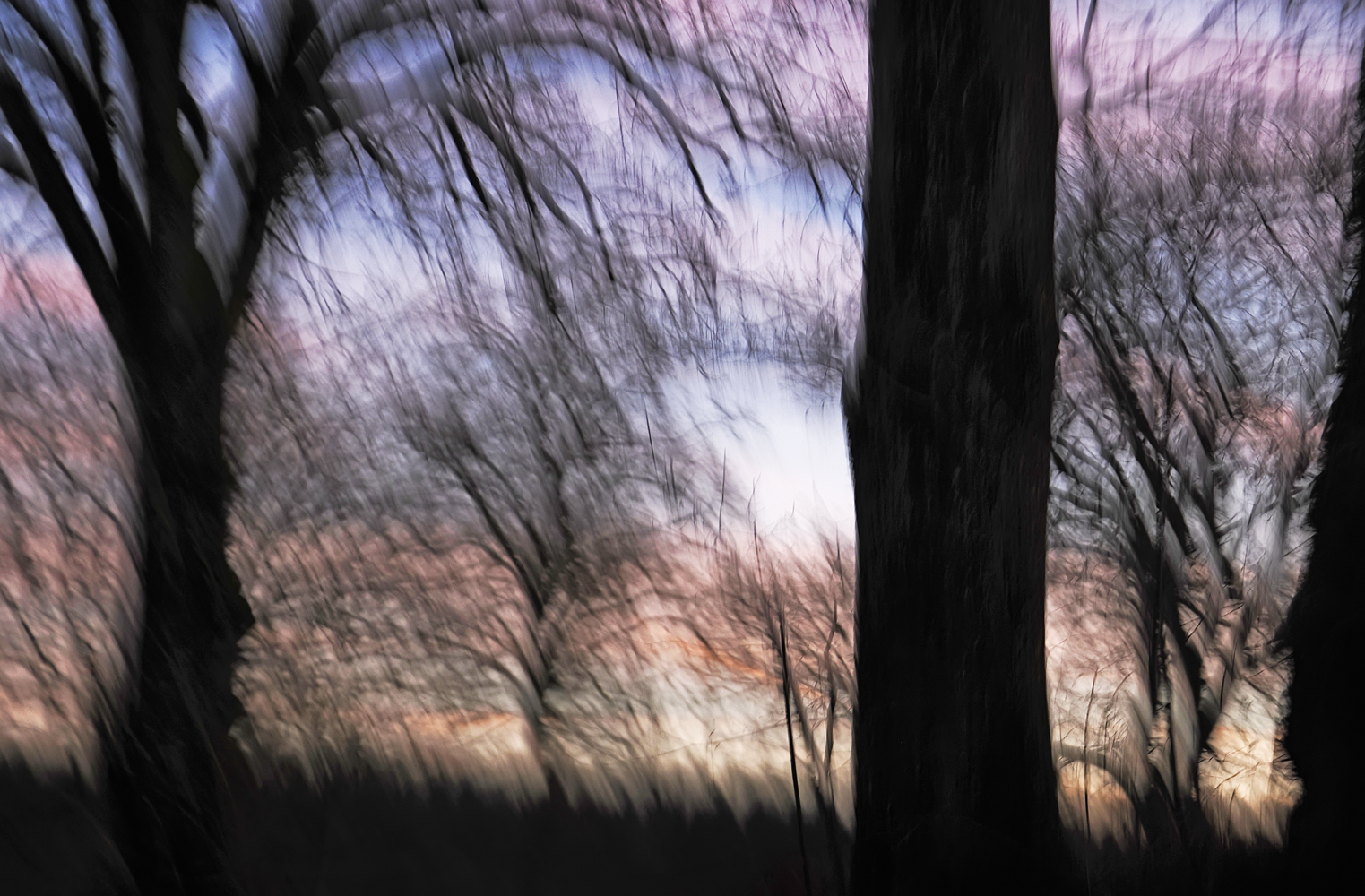 Im Wald