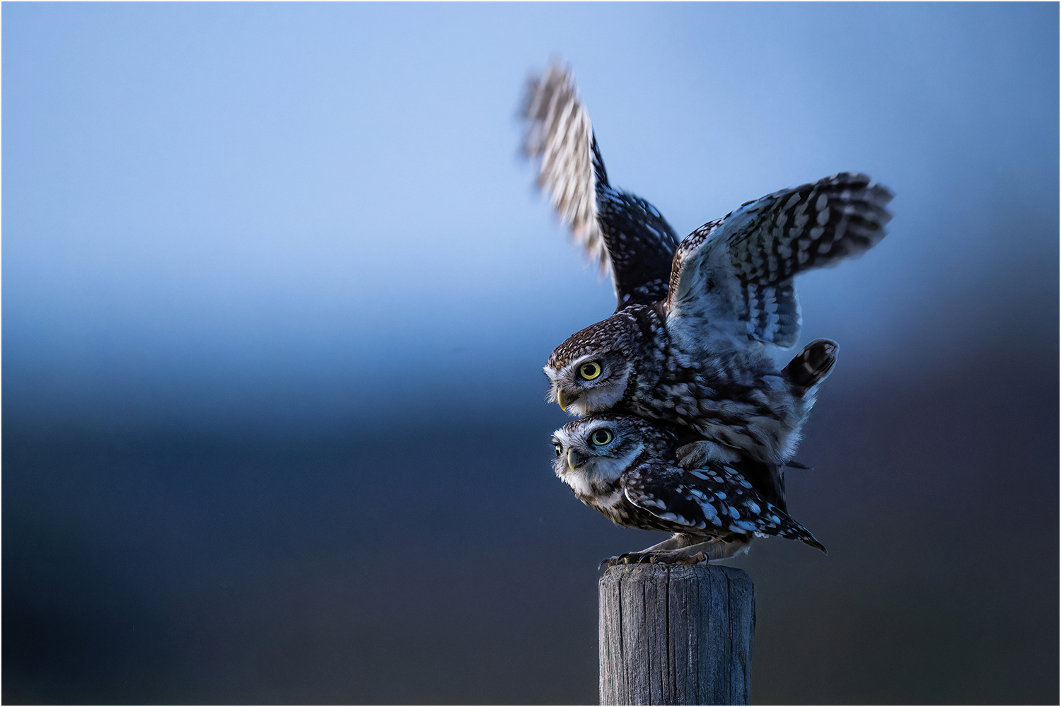 Flugstunde