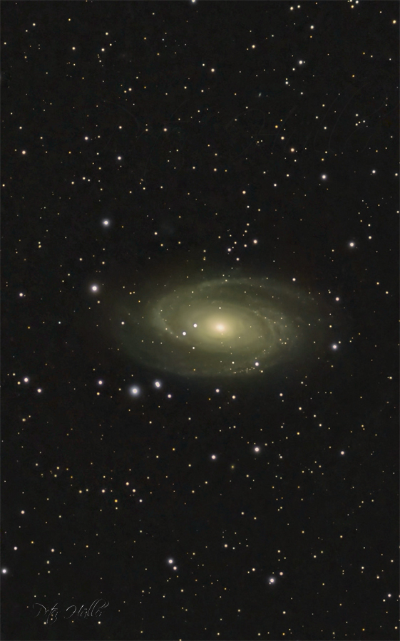 Spiral Galaxy M81