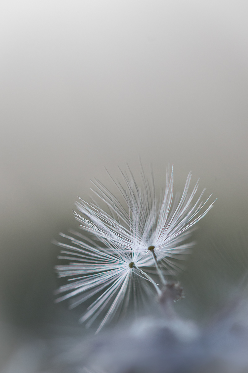 Bereit zum Abflug