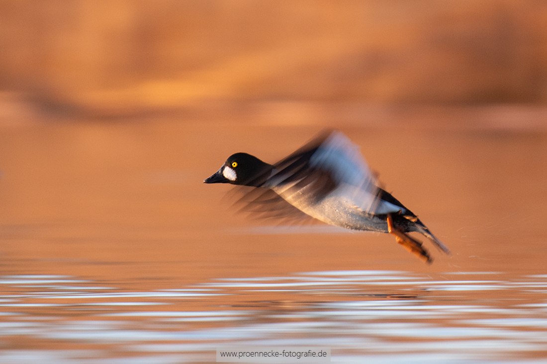 Take off