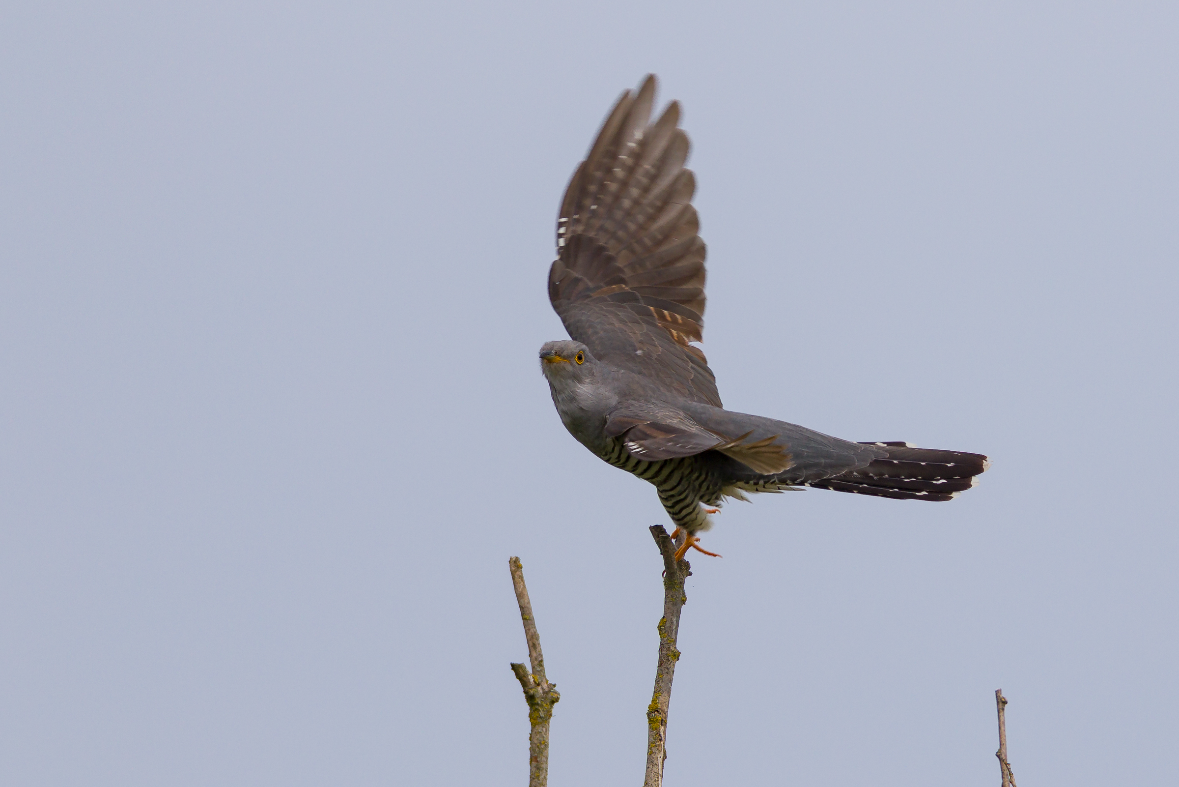 Abflug ...