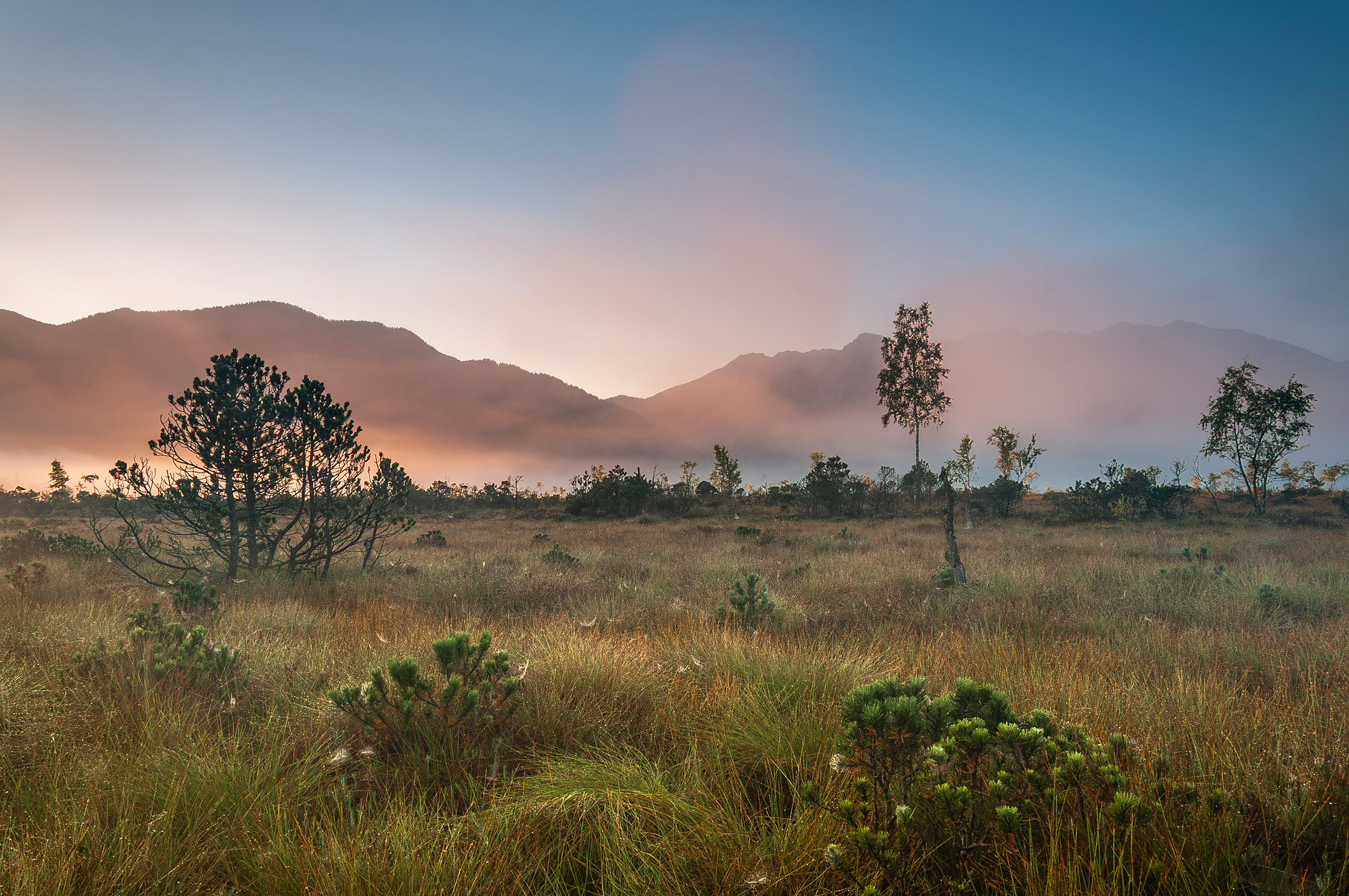 Morgenlicht