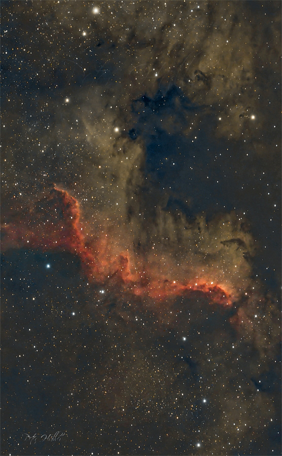 Nordamerikanebel NGC 7000