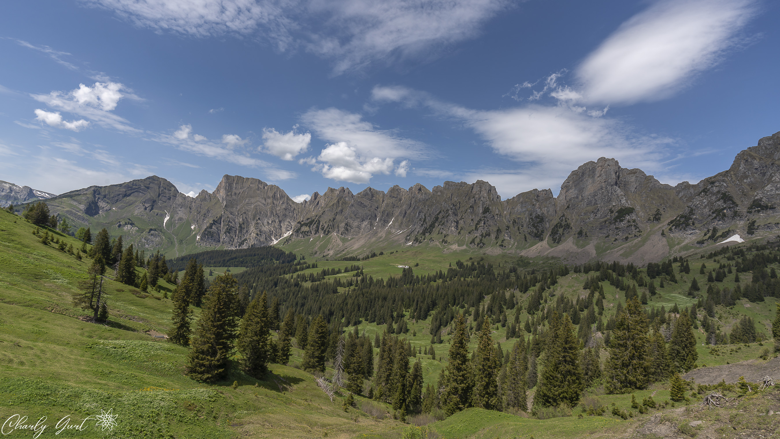 Bergkulilsse