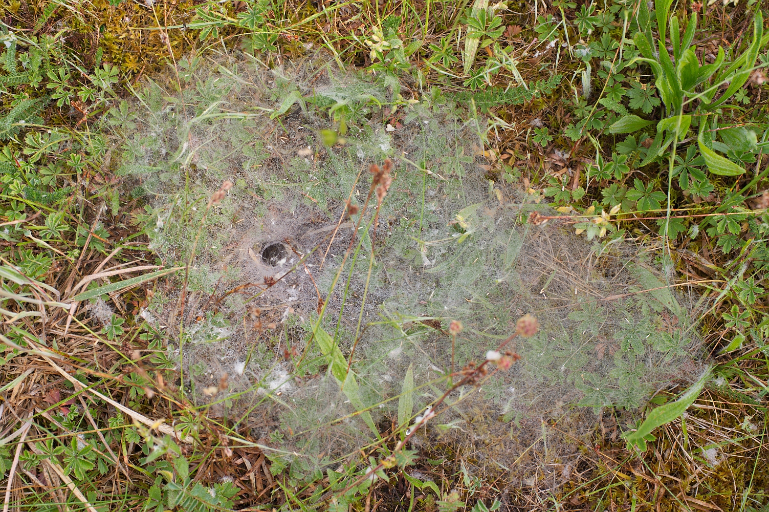Was ist das ?