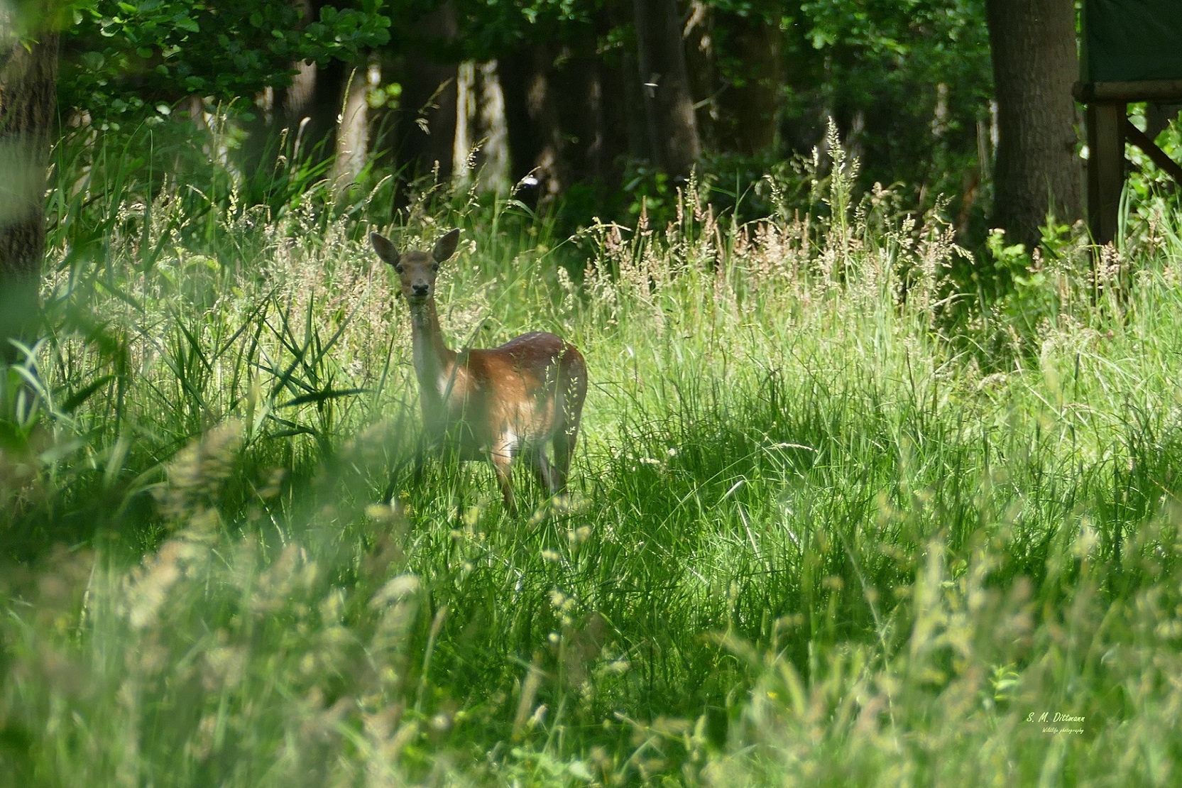 Der fragende Blick