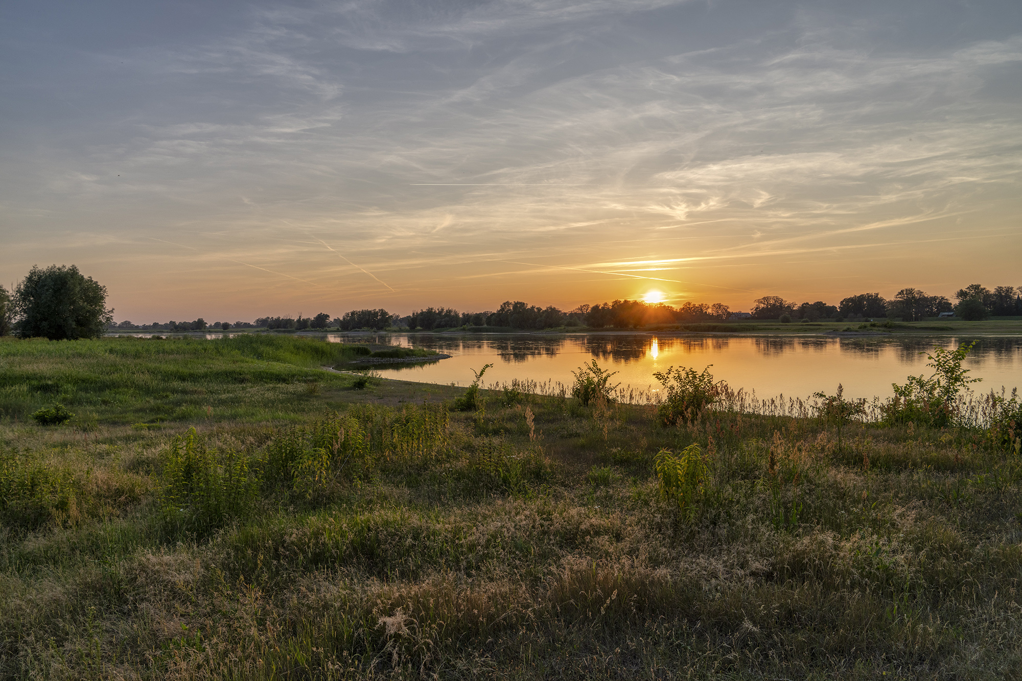 Biosphärenreservat Niedersächsische Elbtalaue