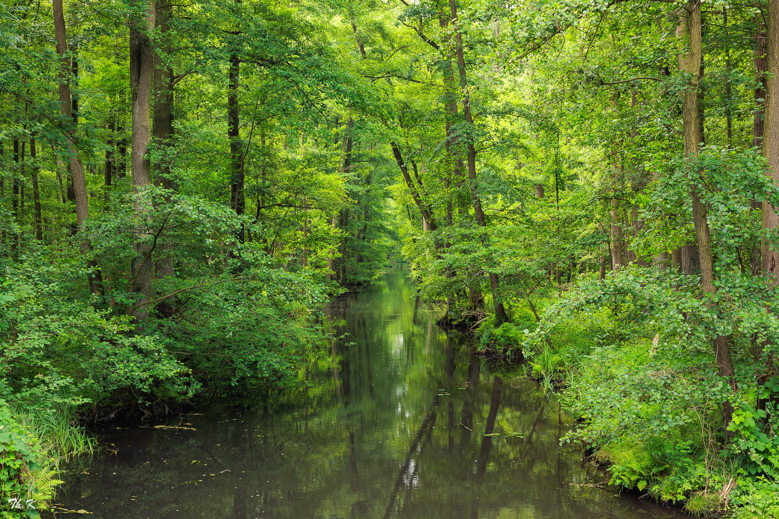 Wunderschöner Spreewald ...