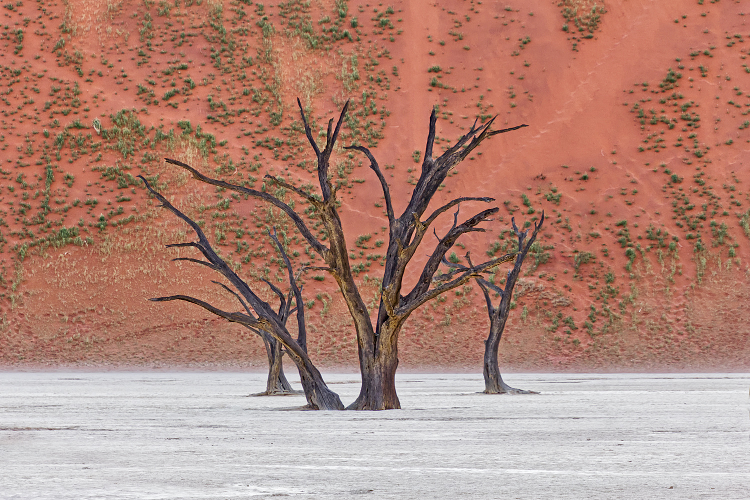 Deadvlei