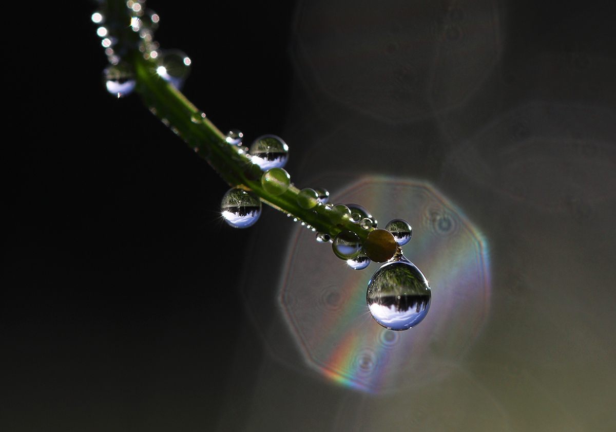 fragile Welt