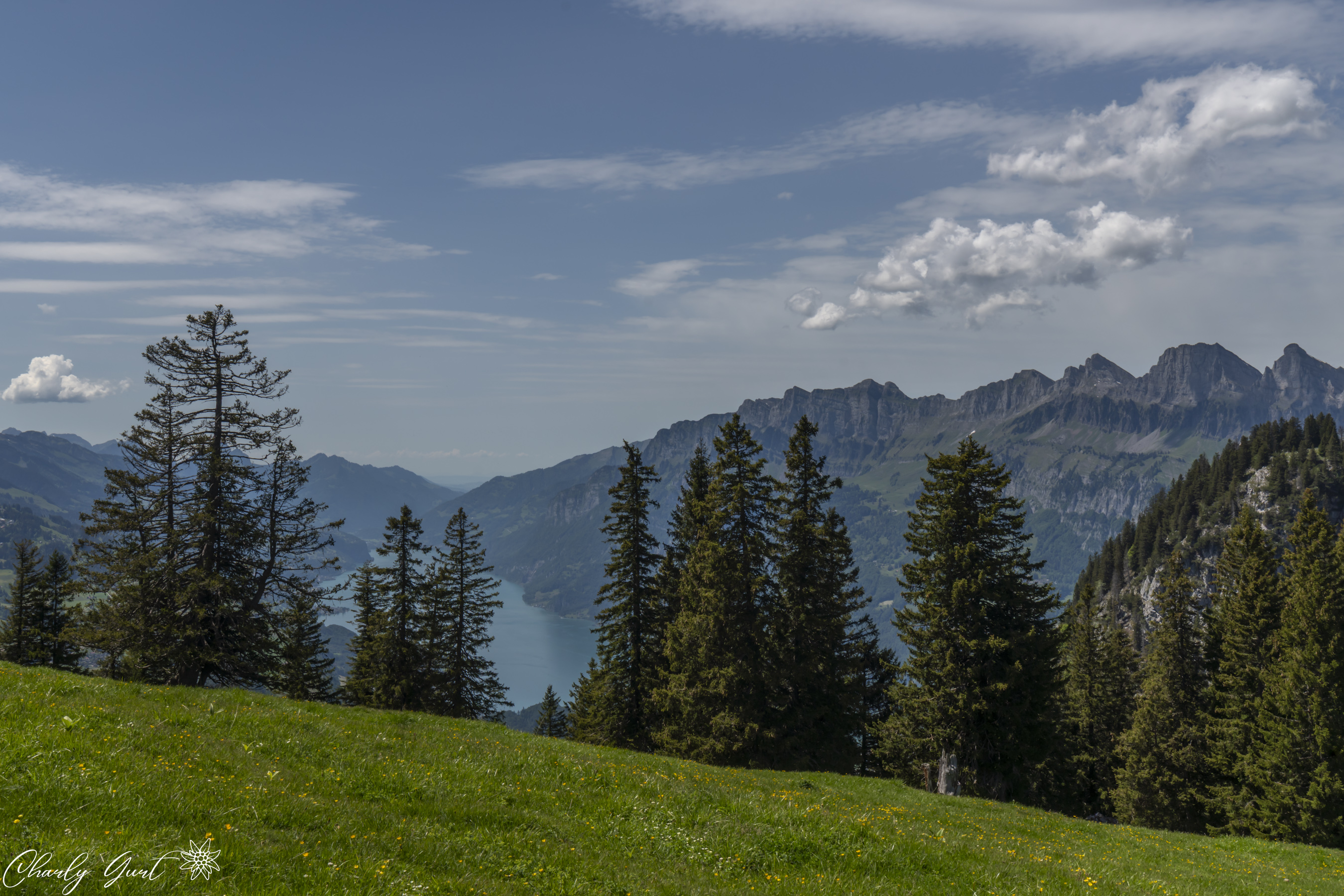 Blick über den Walensee