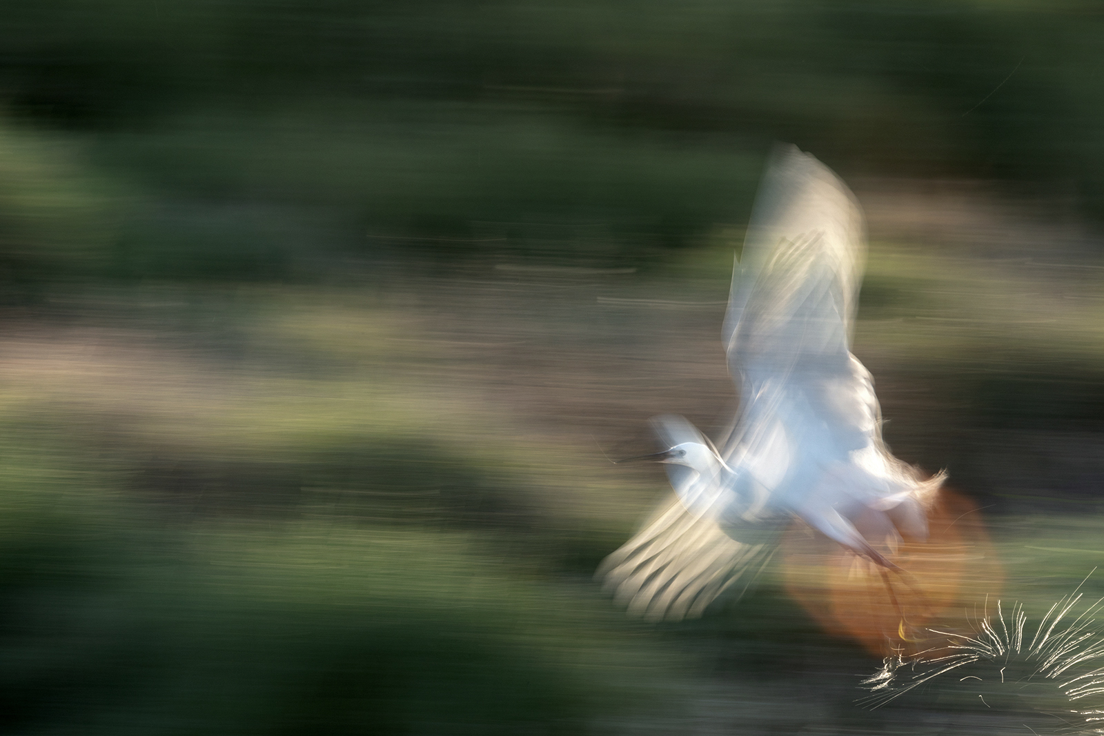Moment des Aufbruchs