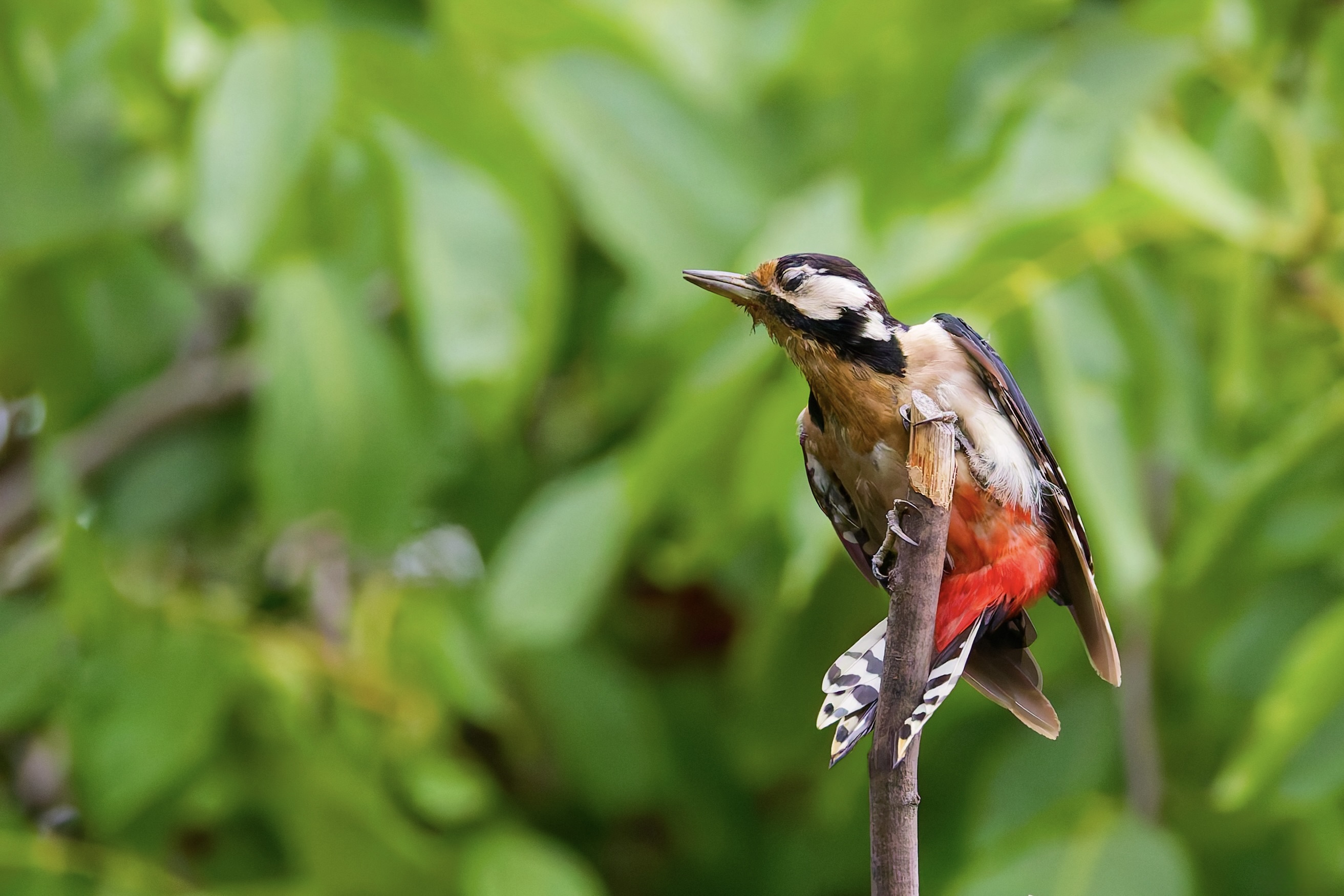Augen zu und Abflug