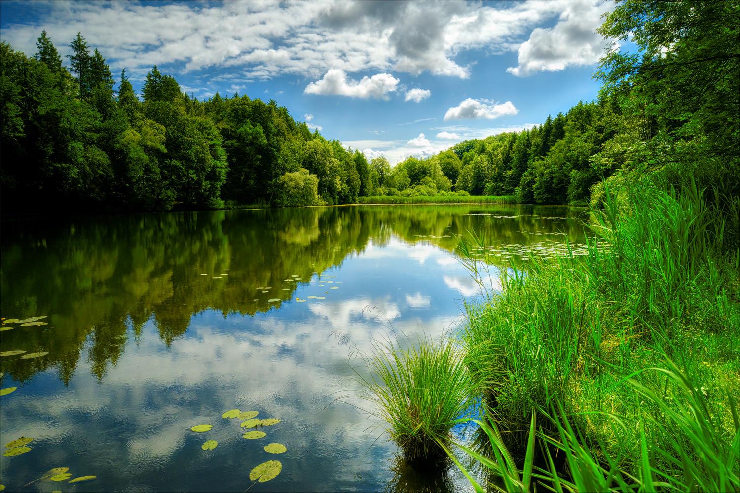 Am Waldweiher