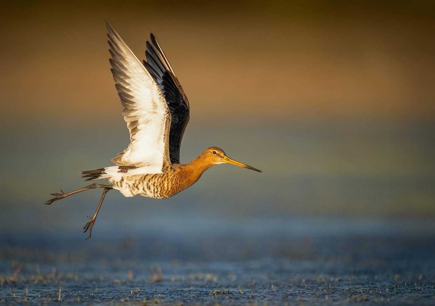 Abflug
