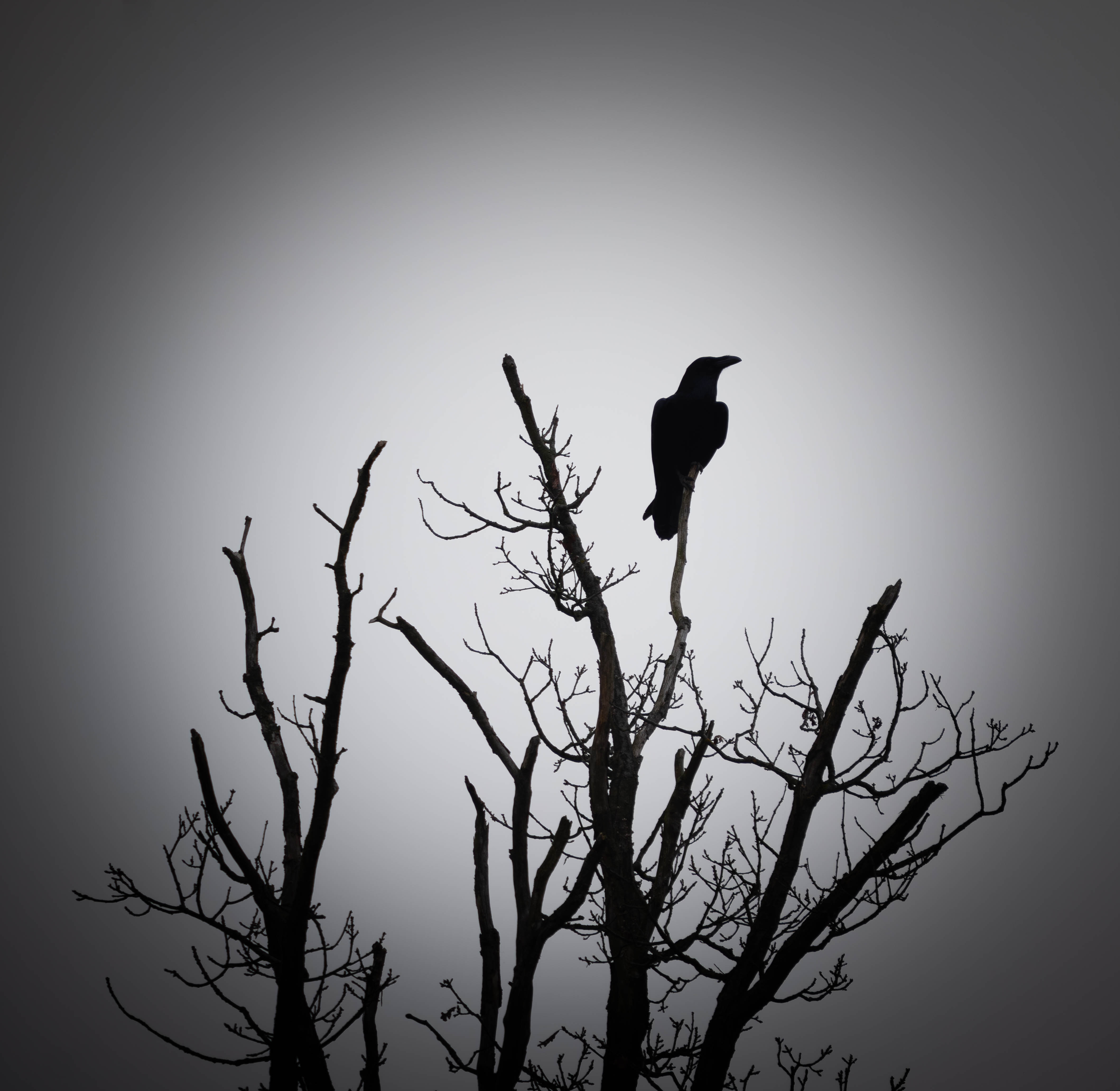 Krabat
