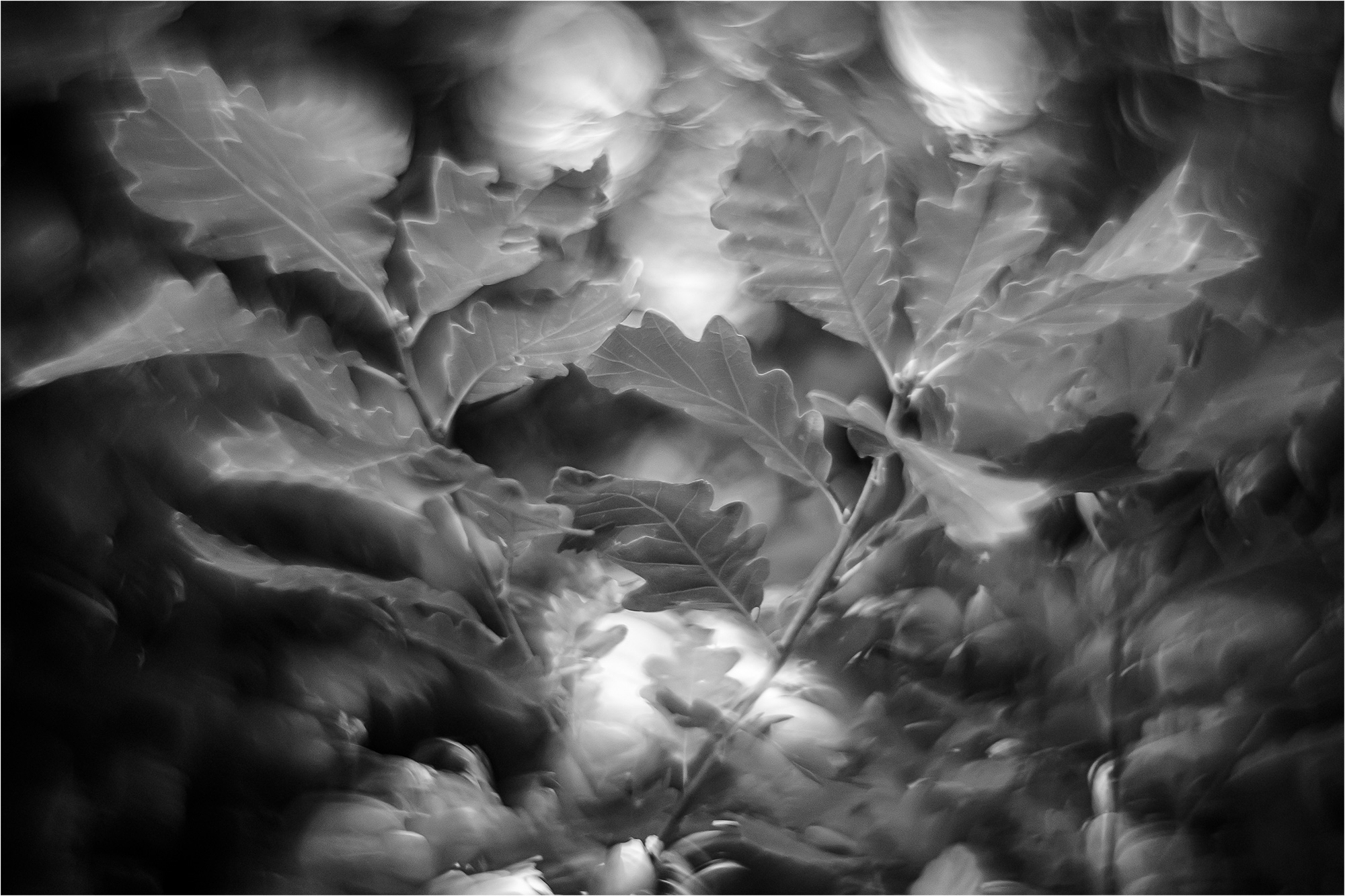 Formen ohne Farbe