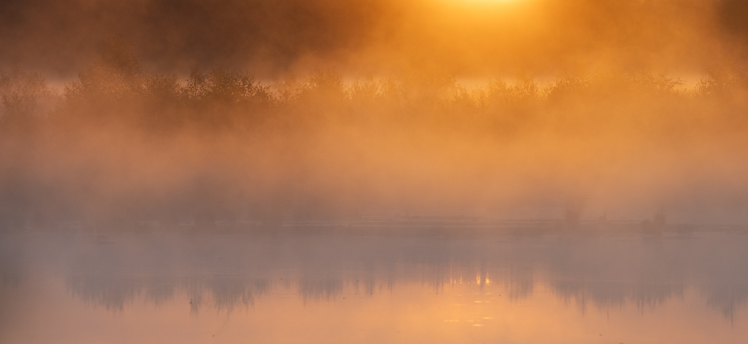 _____morgenlicht________________