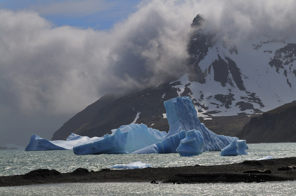 Bröselnde Eisberge in der Fortuna Bay