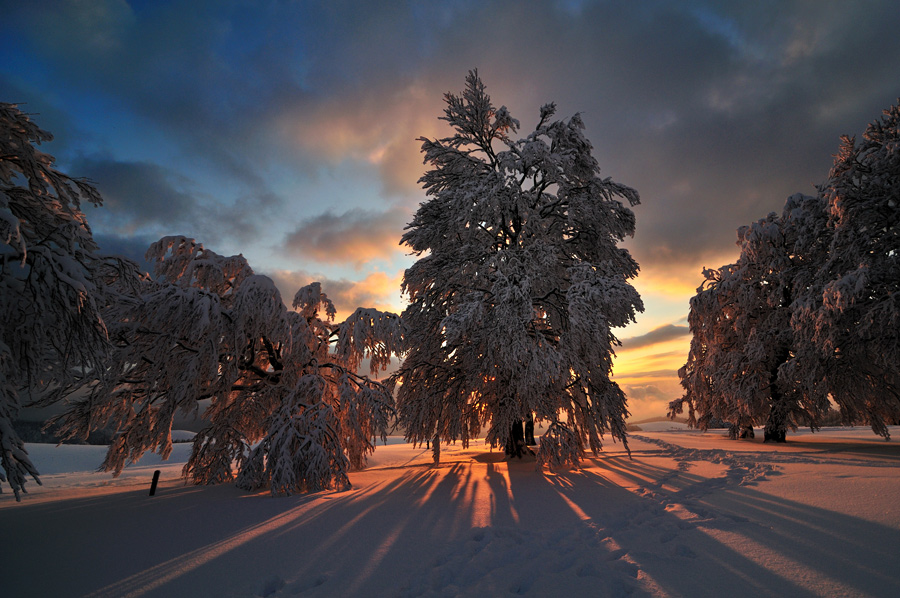 Winterlicht