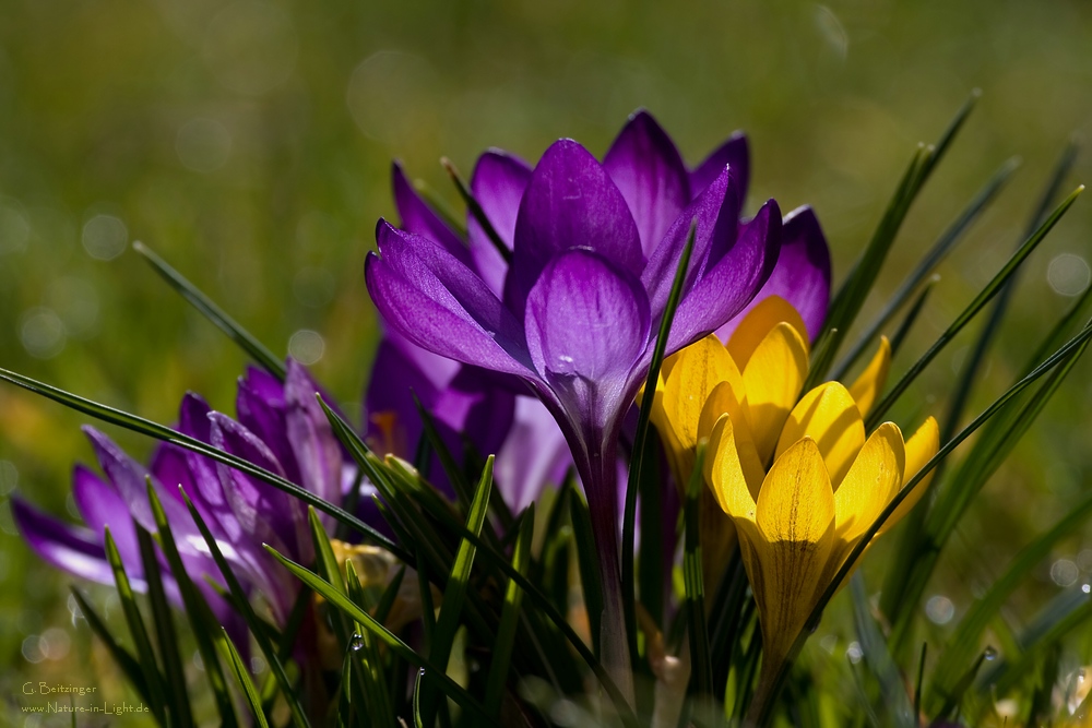 Sehnsucht nach Farbe