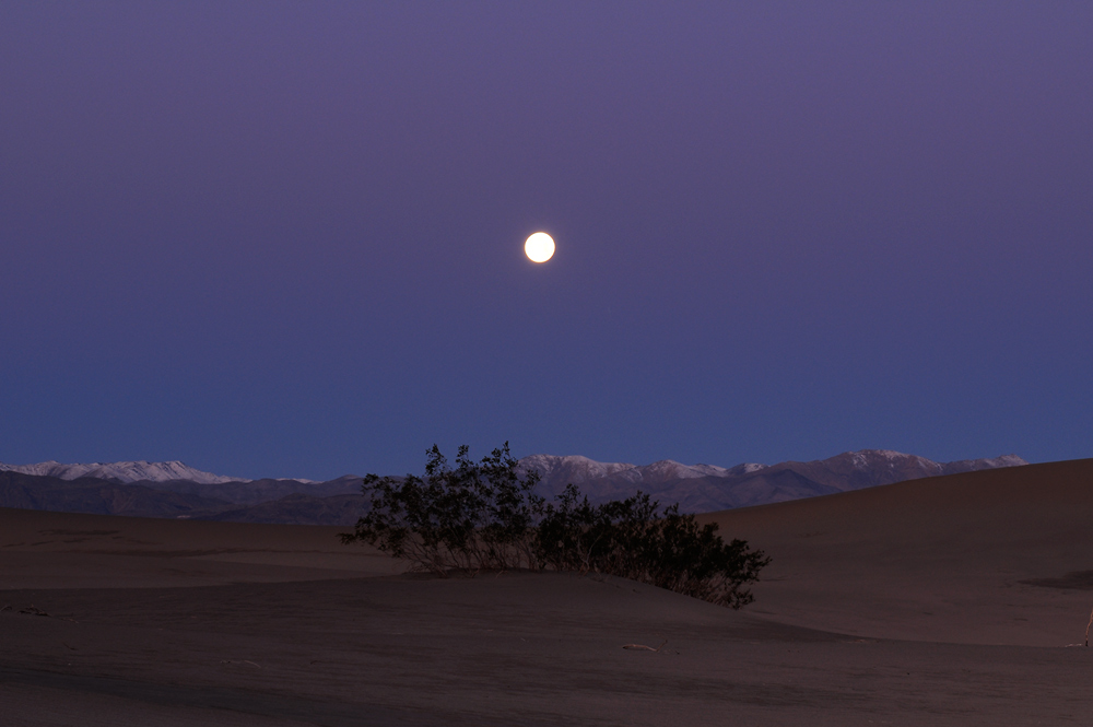 Vollmond über den Dünen