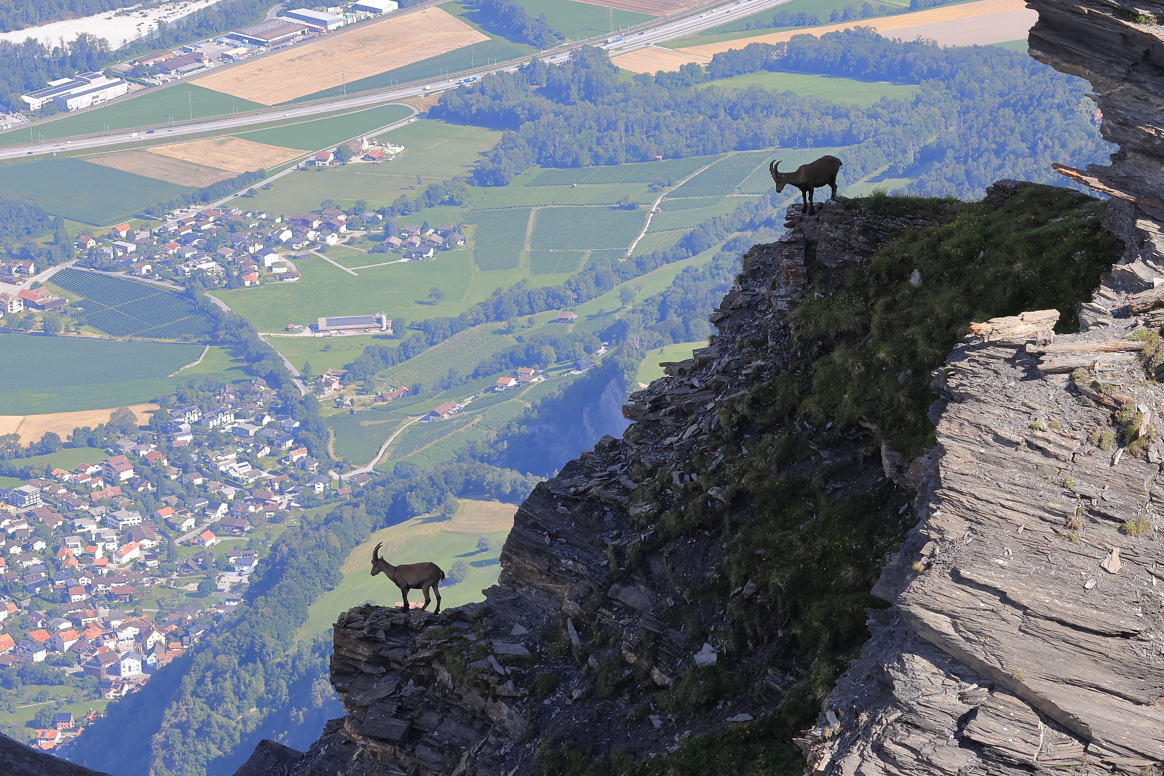 Zwei Kumpel