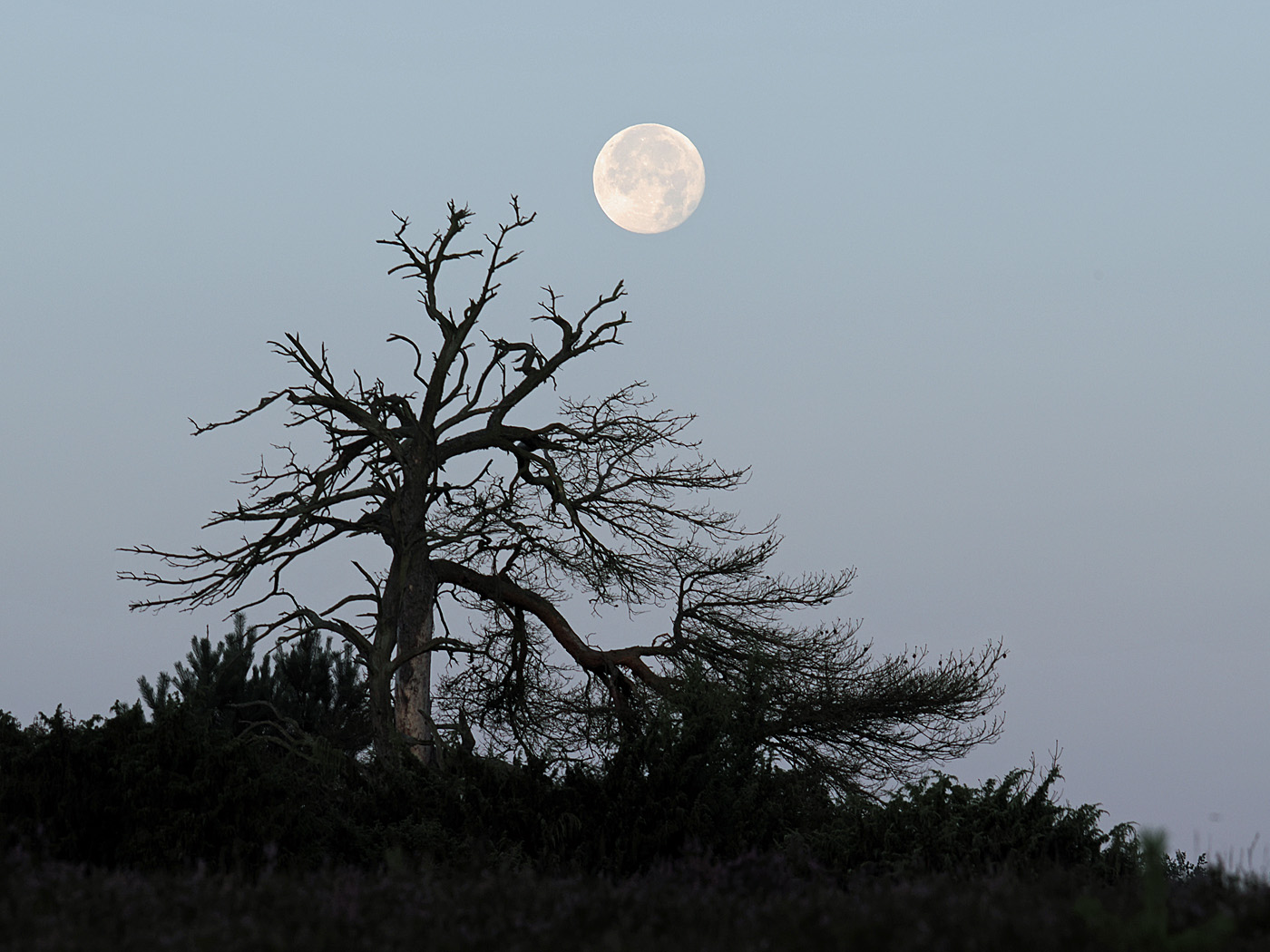 Vollmond..