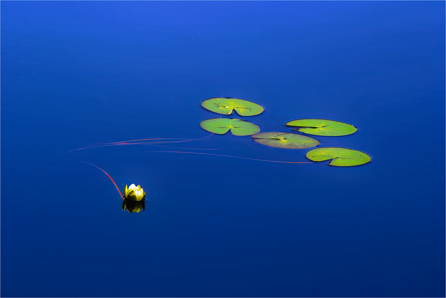 Still ruht der See ...