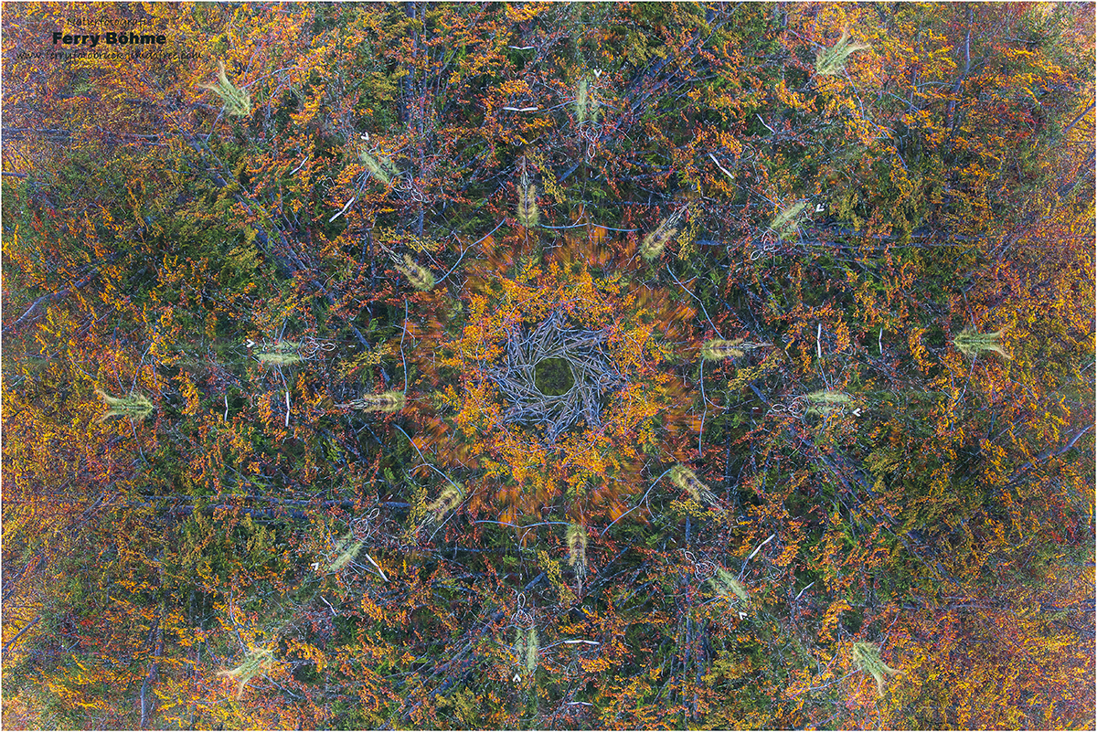 Herbstkaleidoskop II - ... mit dem ersten Einzelbild im Anhang ...