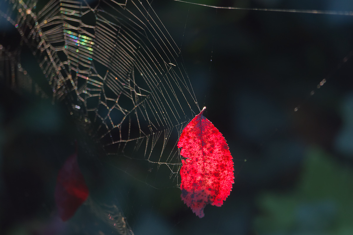 Der Herbst kündigt sich so langsam an