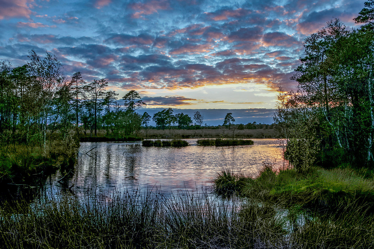 Pietzmoor 2