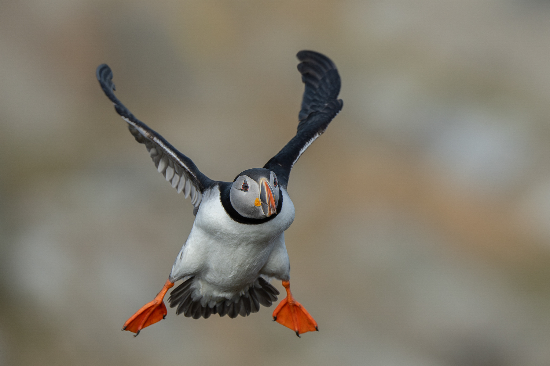 Landeanflug