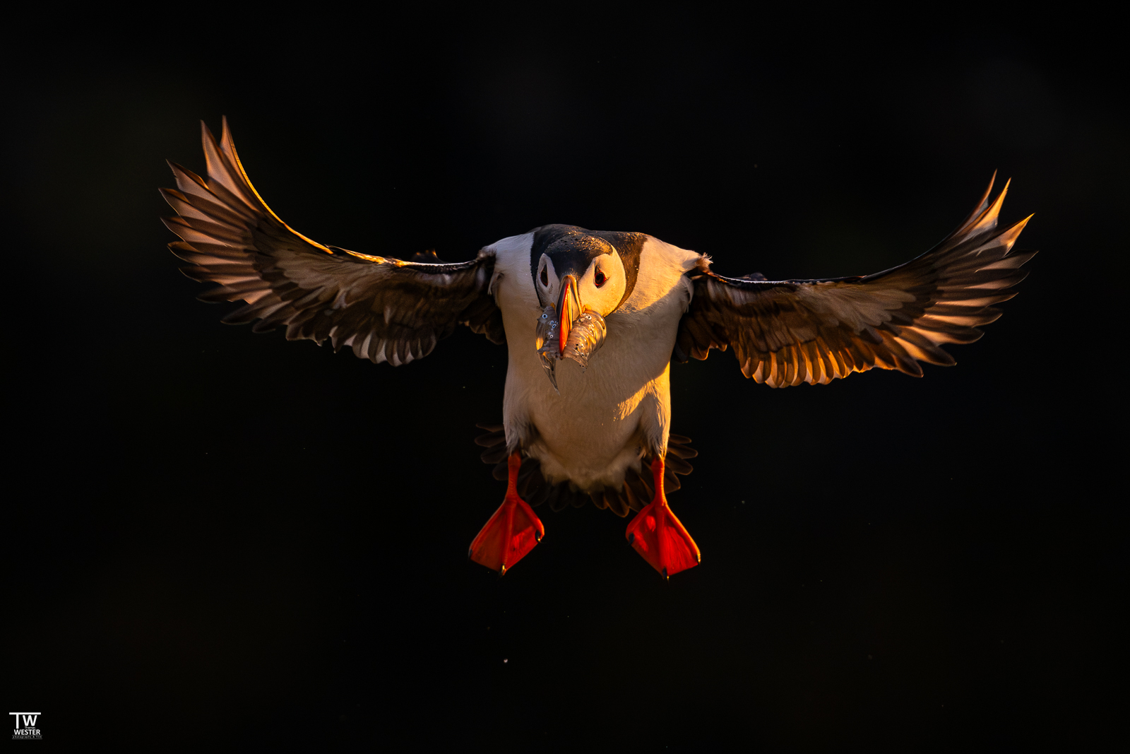 Anflug mit Ladung...