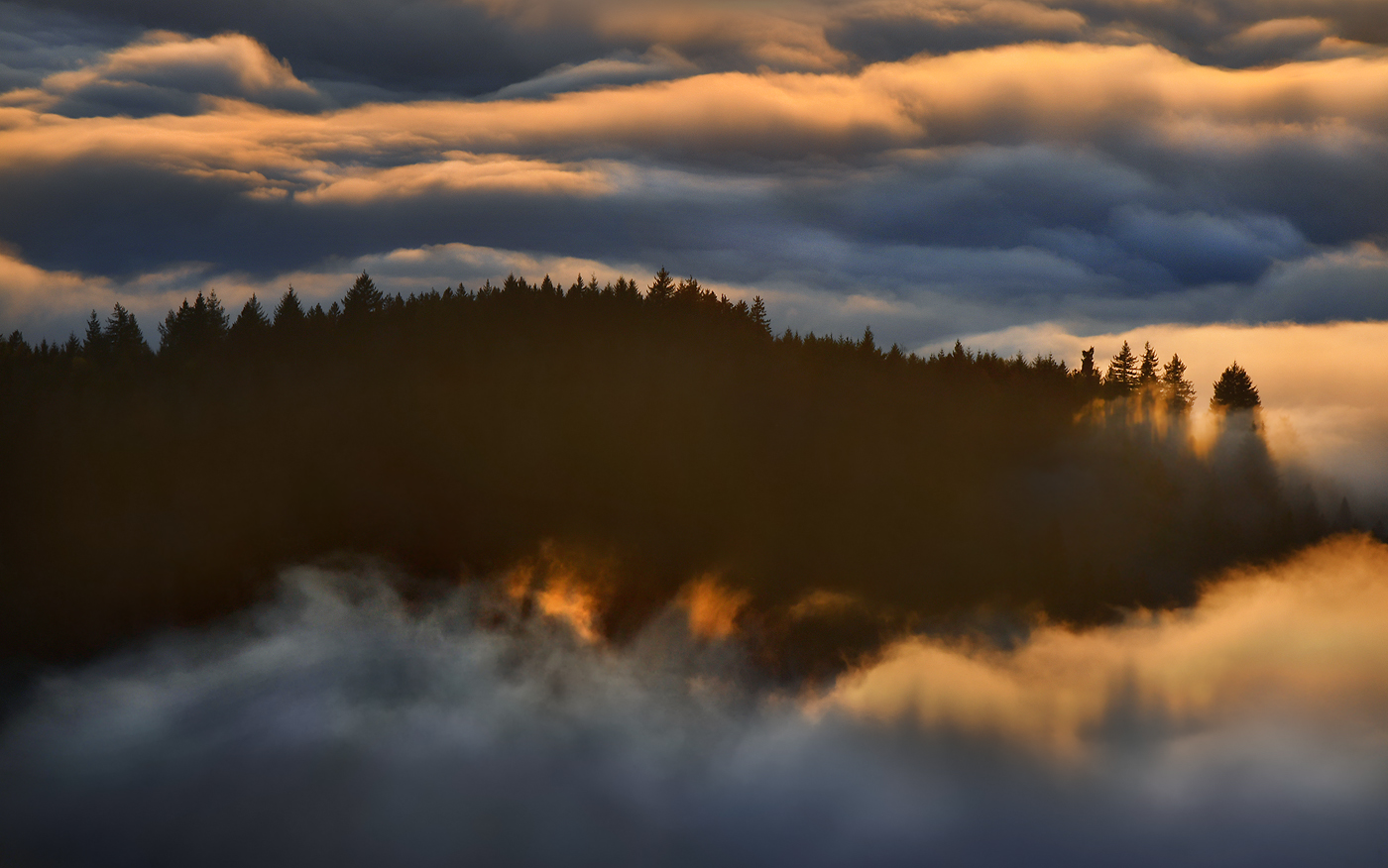 Nebelmeer ...,