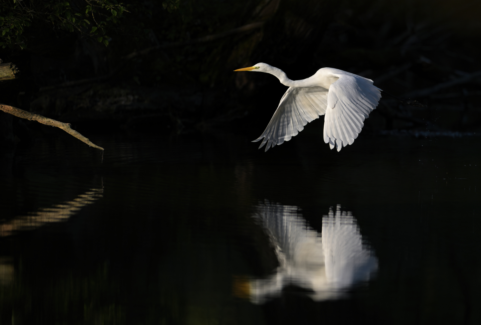 Flug ins Licht