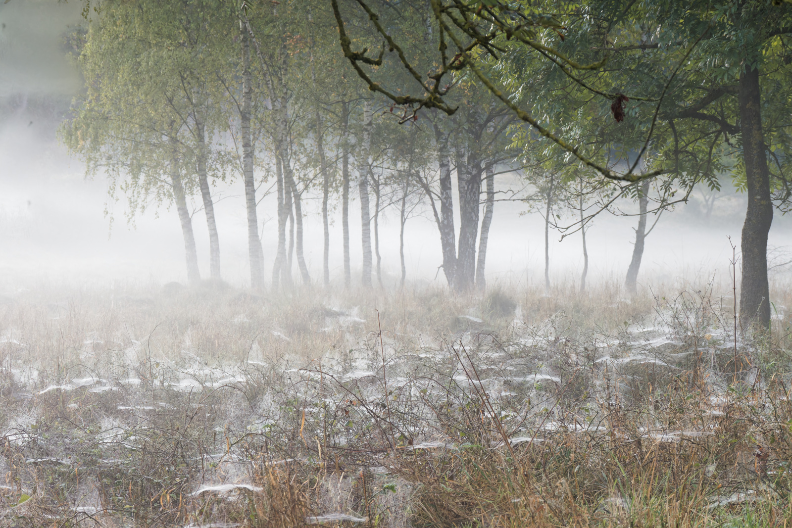Herbstimpression