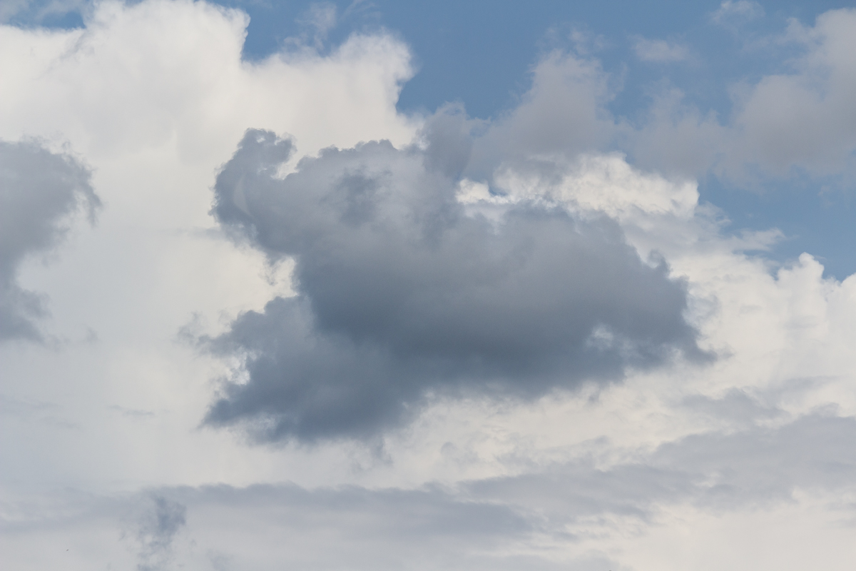 der fliegende Elefant