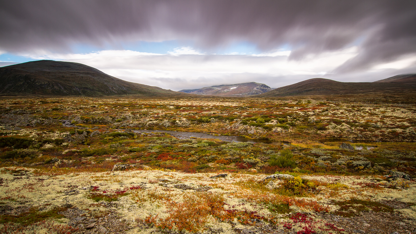 Bunt im Fjell